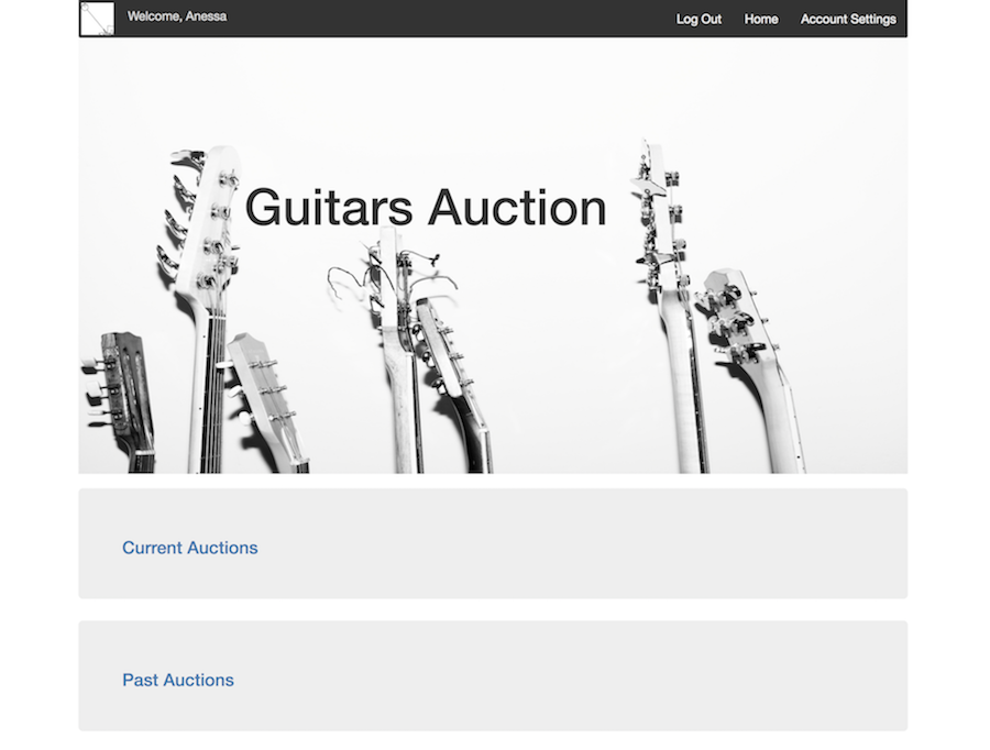 Guitars Auction
